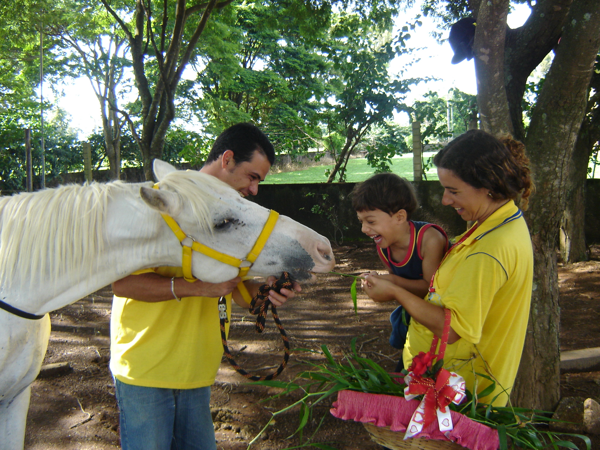 Equoterapia